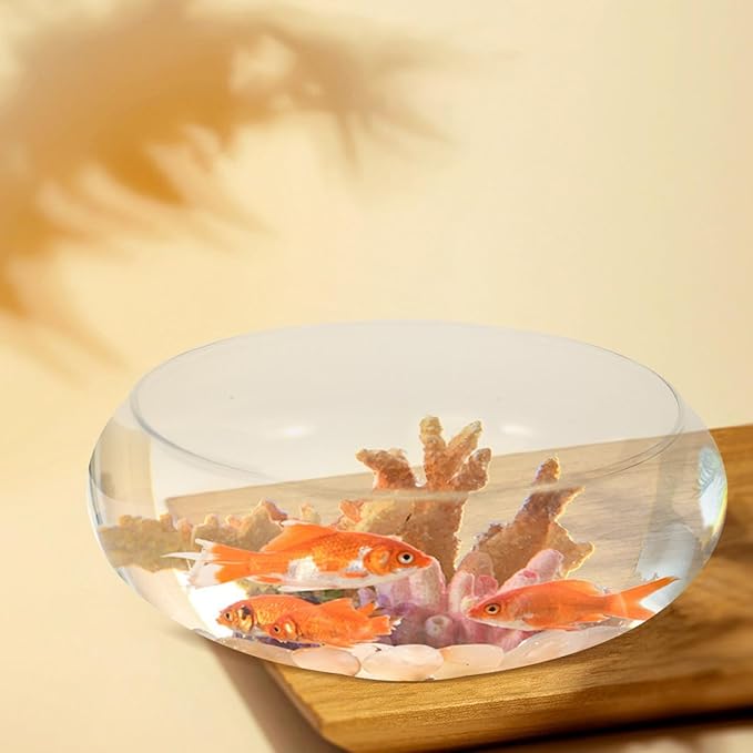 Happyyami Glass Fish Bowl Flower Glass Vase Bowl Clear Wide Mouth Round Vase Terrarium Air Plant Hydroponic Succulent Planter Floral Container Vase for Home Office Wedding L