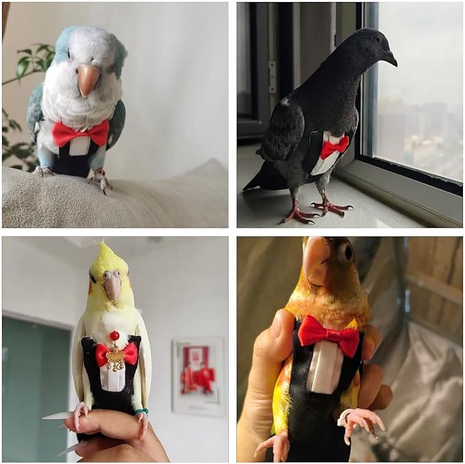 Bird Diapers Bird Harness Tuxedo Flight Suits with 80in Flying Leash Parrot Nappy with Waterproof Inner Layer Urine Wet Suite for Cockatiel Conure Parakeet Macaw Budgie-Black,XL