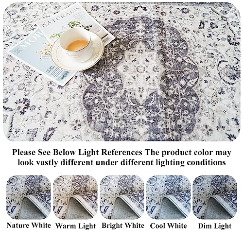 Hallway 2x6 Washable Runner Rug (12 Sq Ft)
