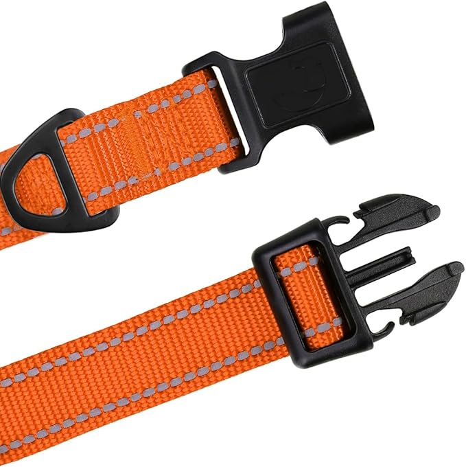 TagME Reflective Nylon Dog Collars, Adjustable Classic Pet Collar with Quick Release Buckle for Medium Dogs, Orange, 1.0" Width