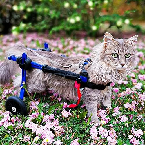 Walkin' Wheels Lightweight – for Small Cats 2 to 20 Pounds – Veterinarian Approved – Cat Wheelchair for Back Legs, for Cats 2-10 lbs, 9-12 inches Leg Height – Blue
