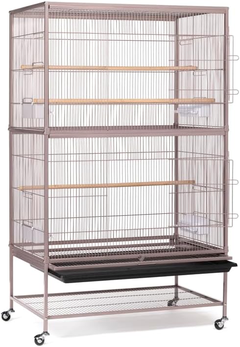 French Fabulous Iron Flight Cage with Elegant Ironwork, Spacious Interior, Durable Construction, and Ample Room for Birds to Fly, Play, Blush/53 H