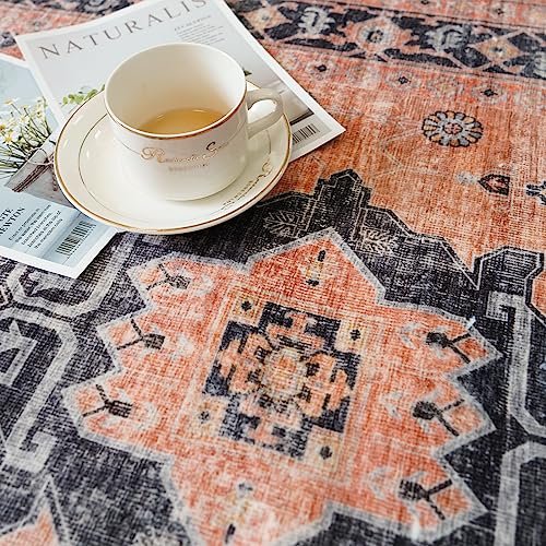 Washable 2x3 Small Area Rug (6 Sq Ft)
