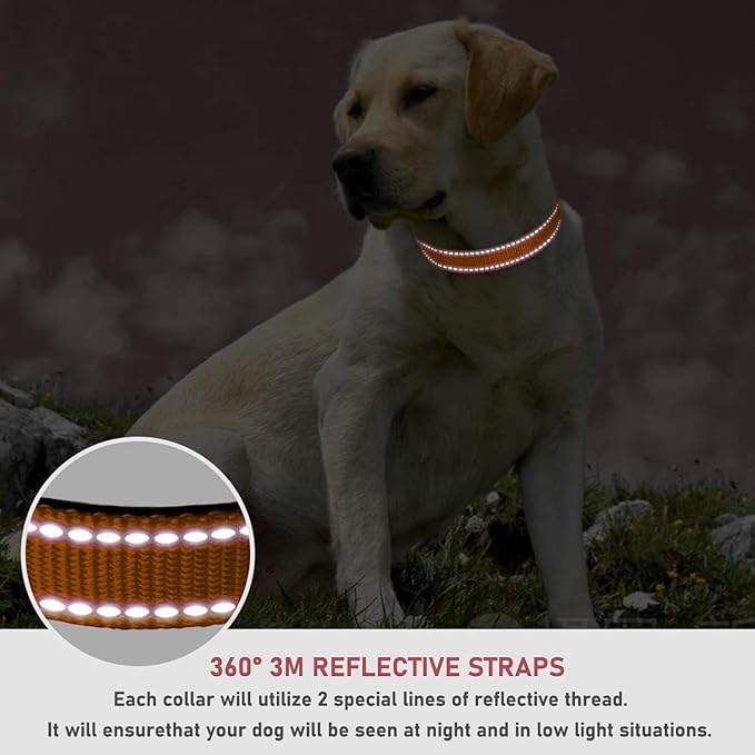Reflective Dog Collar with Buckle Adjustable Safety Nylon Collars for Small Medium Large Dogs, Orange XS