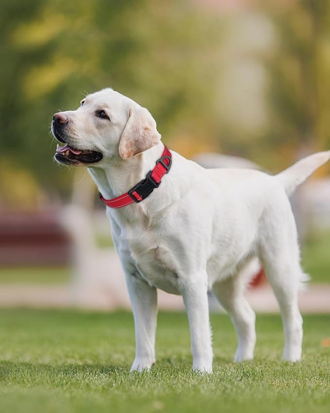 Joytale Reflective Dog Collar, Adjustable Nylon Pet Collar with Quick-Release Buckle for Medium Dogs, Red, M