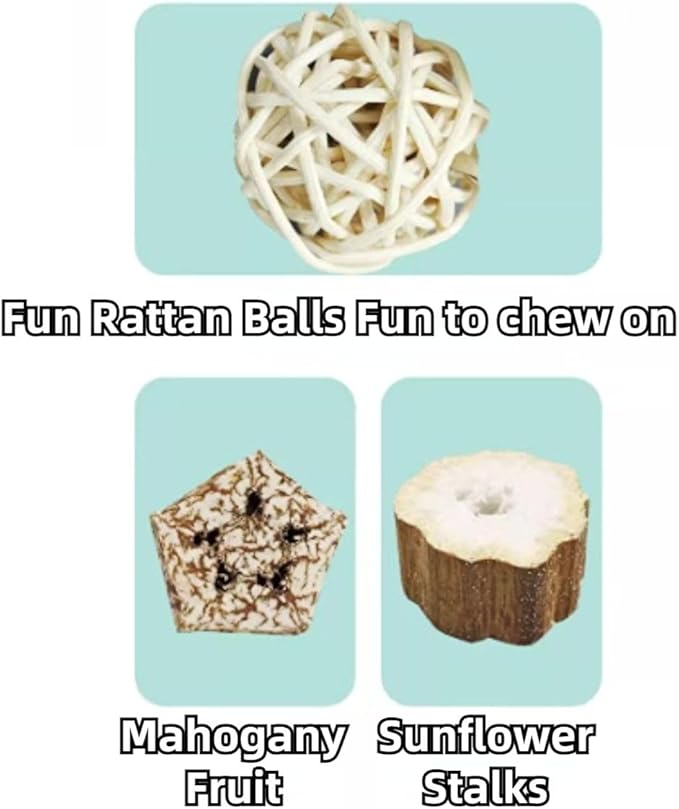 Bird Toys, Chewing for Parrot, Natural Nut Hanging for Parakeet,Lovebirds,Finch,Cockatiel, Conure, Quaker (A)