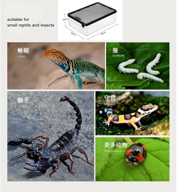 Reptile Feeding Box Clear Terrarium for Geckos, Frog, Lizards, Chameleons, Serpents, Scorpion, Snail, Insect, Hermit Crab, Isopods - 12.6x8.6x3.9inch
