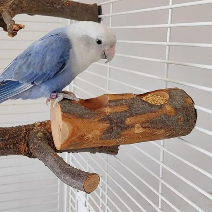 Small Bird Feeding Dish Cups, Removable Pet Food Bowl for Cage, Parrot Feeding Bowls for Finches Lovebirds Budgie Cockatiel Parakeet