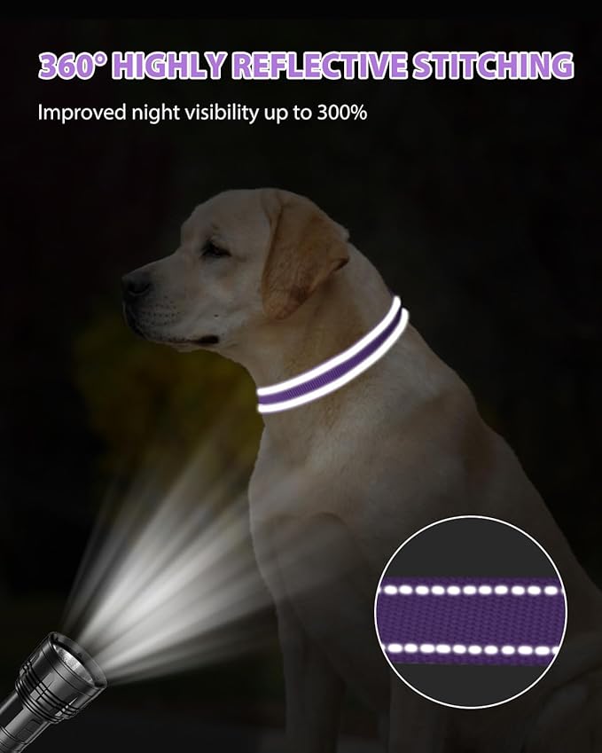 Joytale Large Dog Collar, Reflective and Adjustable Nylon Pet Collar with Quick-Release Buckle for Extra Large Dogs, Purple, XL