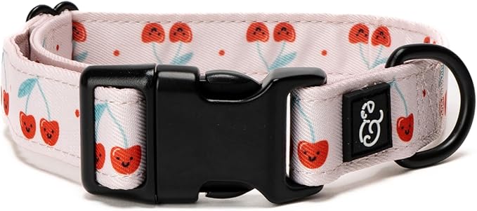 Lucy & Co. Cheery Cherries Dog Collar - Durable Lightweight Designer Collar for Pets - Adjustable Metal Safety Buckel - Red Gingham Cherries – Large