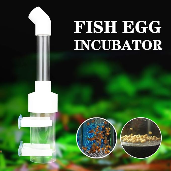 Fish Egg Tumbler Incubator Aquarium Cichlids Fish Hatchery Mouth-Brooding 50mm