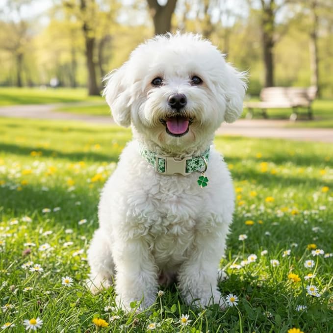 Dog Collars for Medium Dogs, Green Dog Collar for St. Patrick's Day with Green Clover Pattern, Medium Girl Boy Pet Collar with Spring Summer Design, M