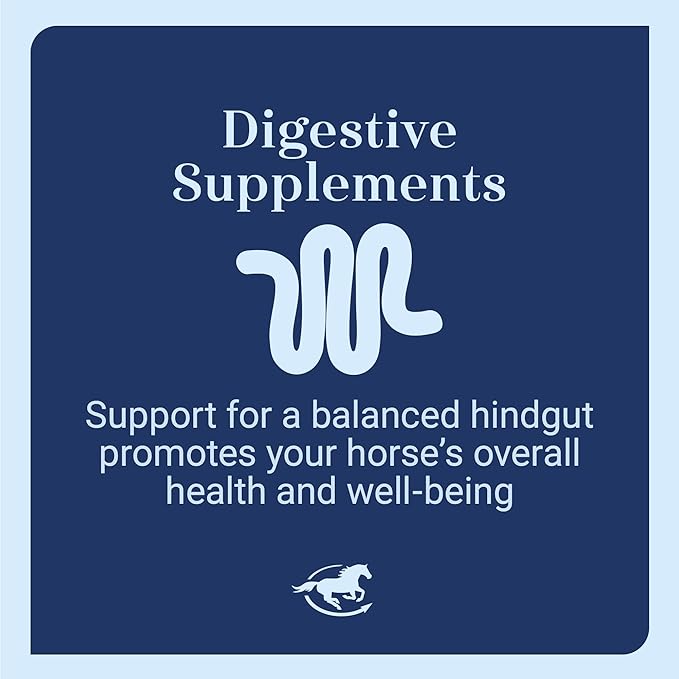 SmartDigest Ultra Paste | Digestive Health and Support Horse Supplement | Provides Prebiotics, Probiotics, Digestive Enzymes | Butterscotch Flavor | Pack of 6 Tubes