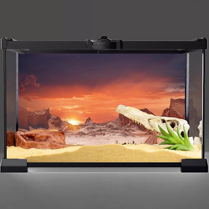 AWERT 24x12 inches Sun and Desert Terrarium Background Orange Reptile Habitat Background Durable Polyester Background