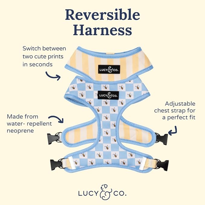 Lucy & Co. Bumbling Around Reversible Dog Harness, Adjustable Comfort Fit with Dual Leash Attachments, Small