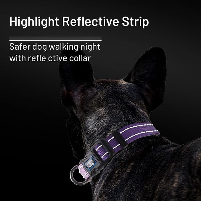 Roses&Poetry Large Dog Collar, Adjustable Reflective Durable Pet Collars for Small Medium Large Dogs(Lightpurple-L)