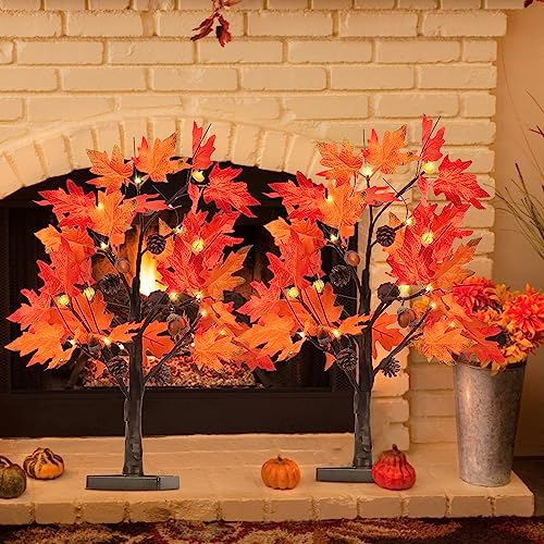 Fall Decorations for Home