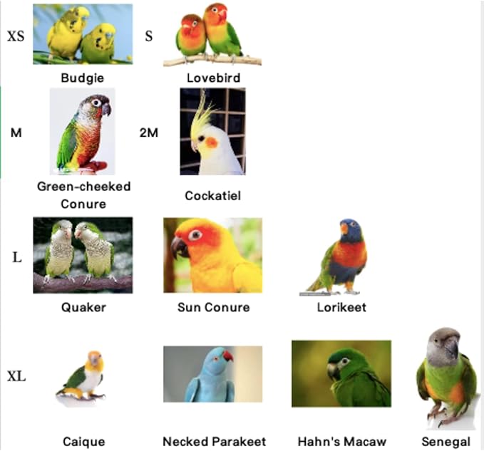 Bird Flight Harness Vest, Parrot Flight Suit with Leash for Parakeets Cockatiels Conures Budgies, Bird Flying Clothes with Rope and Handle for Outdoor Activities Training, Anti Bite (X-Large)