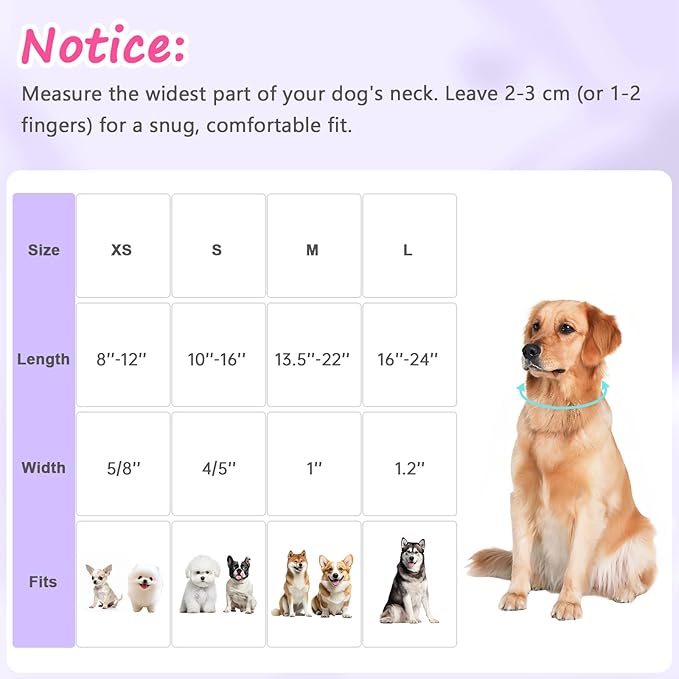 Easter Dog Collar for Small Dogs, Easter & Spring Theme Small Dog Collar with Cute Chick & Bunny Pattern, Adjustable Purple Easter Dog Collars Girl Boy Collar for Dogs -S
