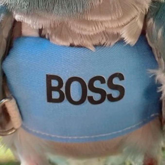 Bird Flight Harness Vest, Parrot Flight Suit with Leash, Bird Flying Clothes with Rope and Handle for Outdoor Activities (XL)
