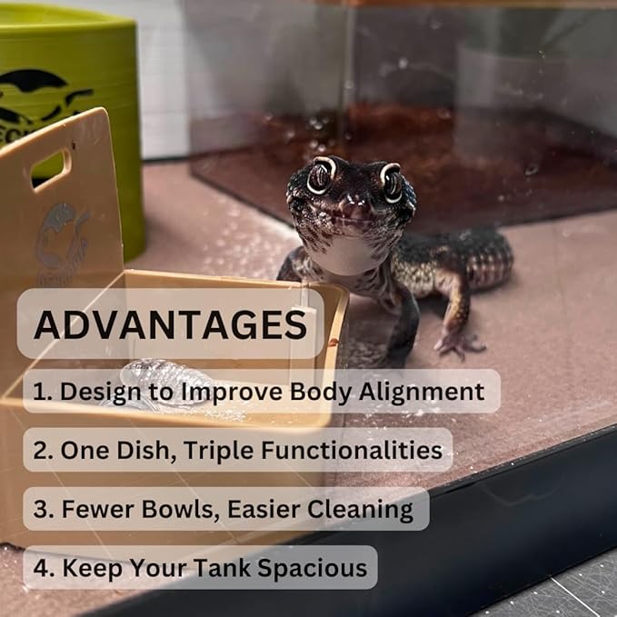 Geckopia Triple Dish 3.0 | 3 in 1 Reptile Bowl | Gecko & Reptile Calcium & Water Food Bowl | Mealworm Dish in BioPlastic | Wood