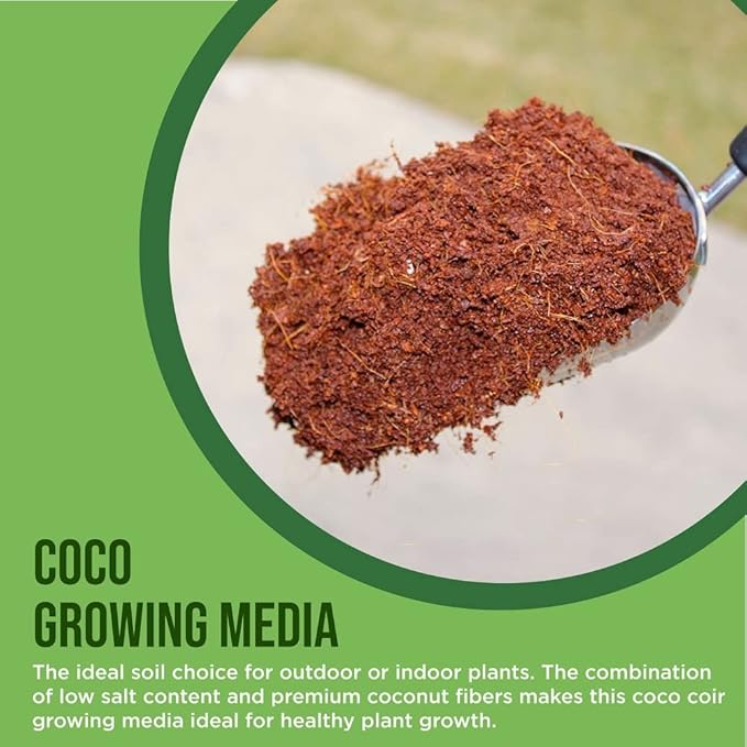 Potting Soil Mix 50 Liter Bag Envelor Indoor Plants Soil for Outdoor Plants 1.75 Cubic Feet Potting Mix Hydrated Coco Coir Perlite Mix Buffered Ready to Use Natural Plant Top Soil