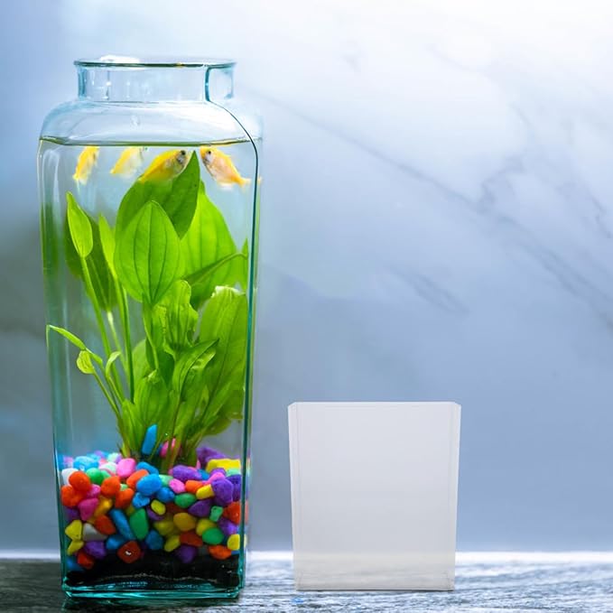 Kisangel Portable Fish Observation Container for Viewing Betta Aquariums Breeding Boxes and Small Fish Tanks Lightweight Versatile and Easy to Use