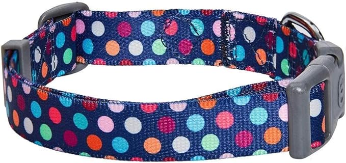 Blueberry Pet Essentials Rainbow Polka Dots Adjustable Dog Collar, Medium, Neck 14.5"-20"