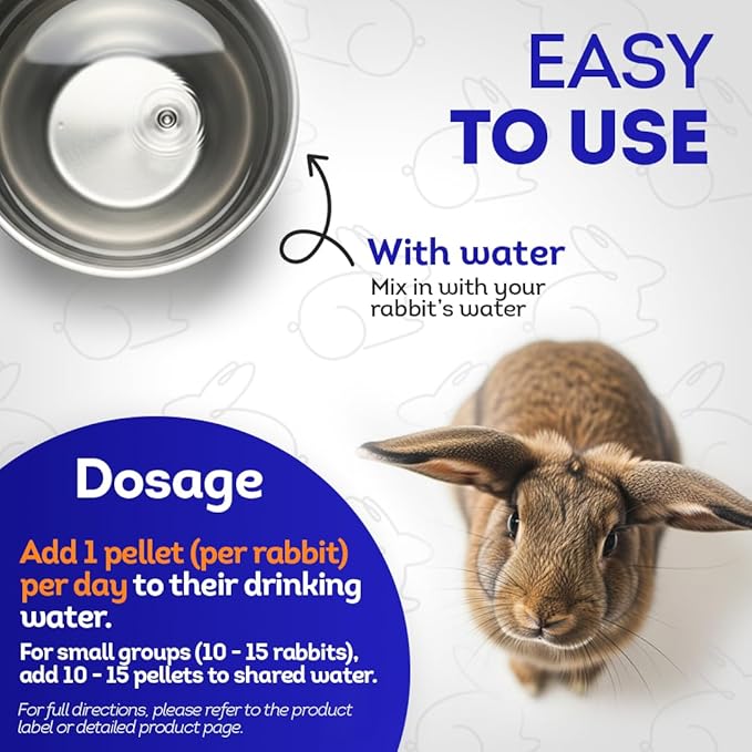 HA4E - Rabbit E. Cuniculi Infection Treatment - Natural, Homeopathic Support for Prevention & Immunity Boost - Pellets, Hutch Size (Extra Large)