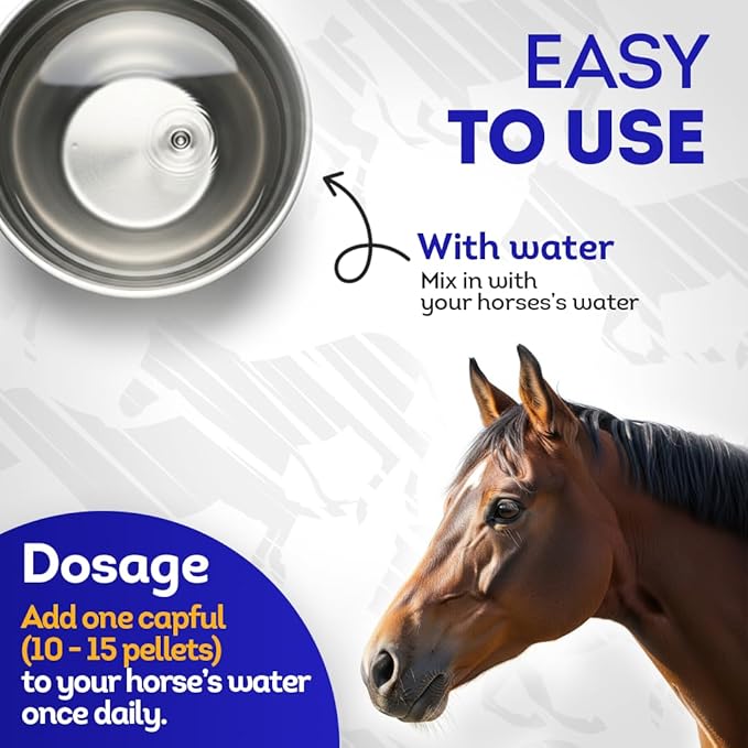 HA4E - Horse Digestive Support for Cushing’s Disease - Preventative Care - Highly Effective, Natural Homeopathic Supplement - Tablets, Barn Size (Extra Large)