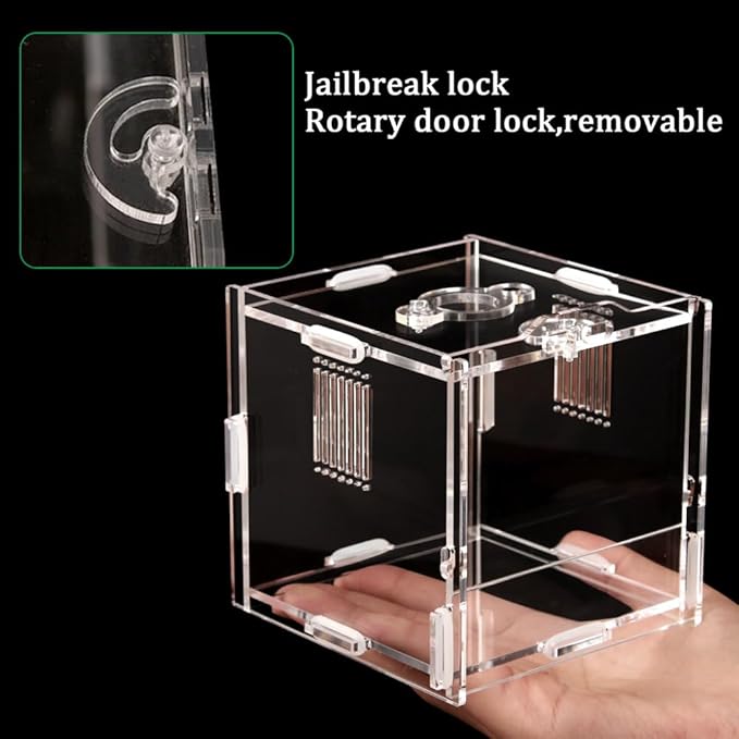 Acrylic Jumping Spider Enclosure, Small Reptile Terrarium Habitat for Tarantula Snail Insect Small Reptile (4.5x4.3x4.1inch)