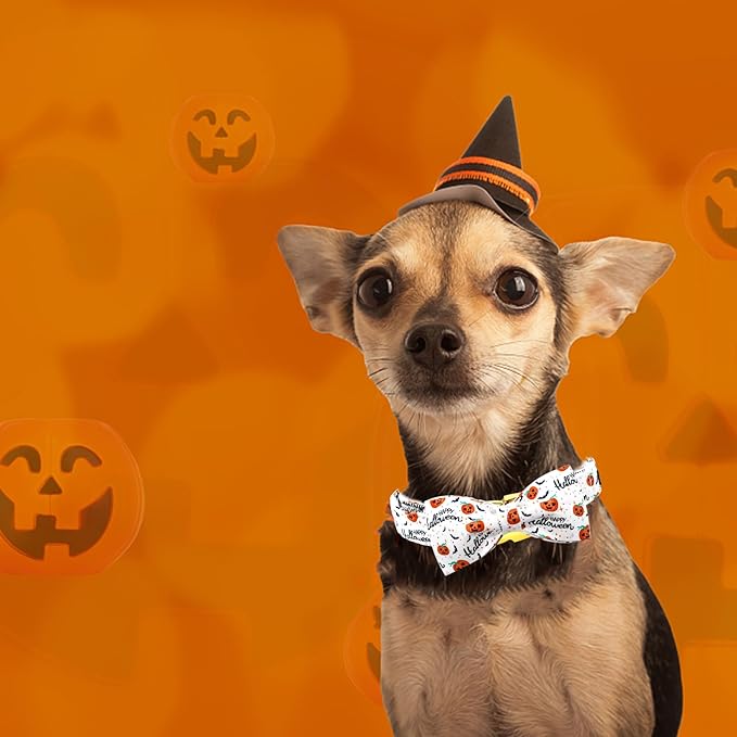 Halloween Dog Collar, Pet Collar Bow Pumpkin Pet Collar Girl Boy Holiday Collars Gift Bow Cute Soft Puppy Collars for X-Small Puppy