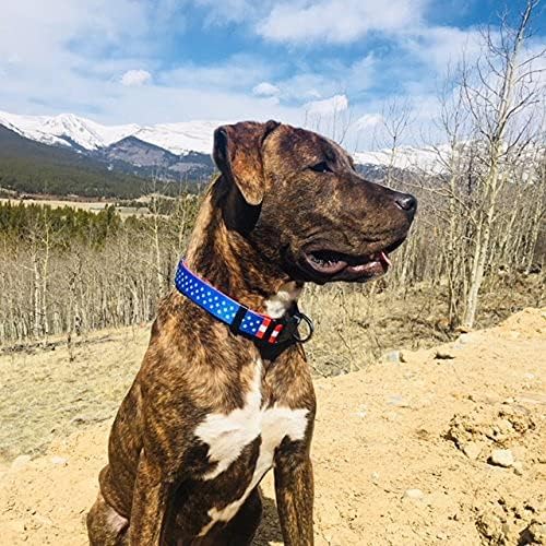 Native Pup American Flag Dog Collar- Red White and Blue- Patriotic Collars for 4th of July, USA- Adjustable Small, Medium, Large Breed Dogs (Small, Flag I)