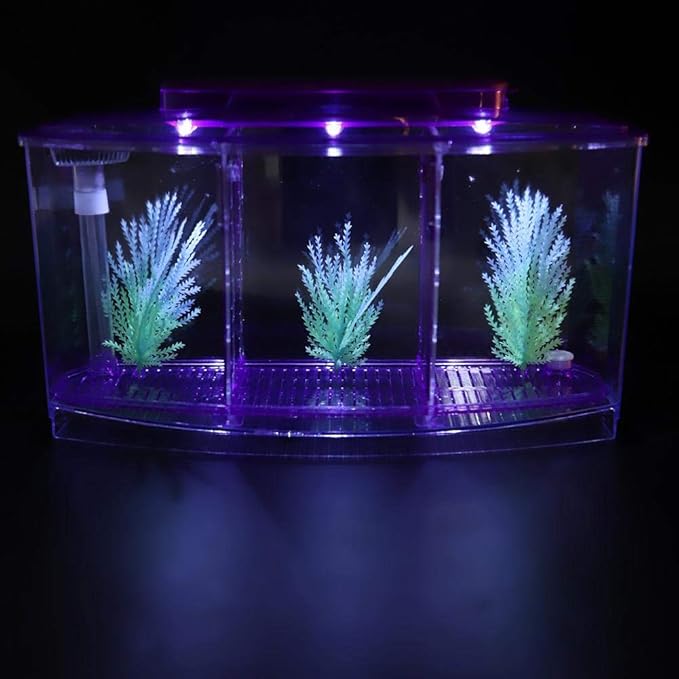 Breeding Fish , Adjustable Light Mini Fish , Three Areas for Small Fishes Betta()