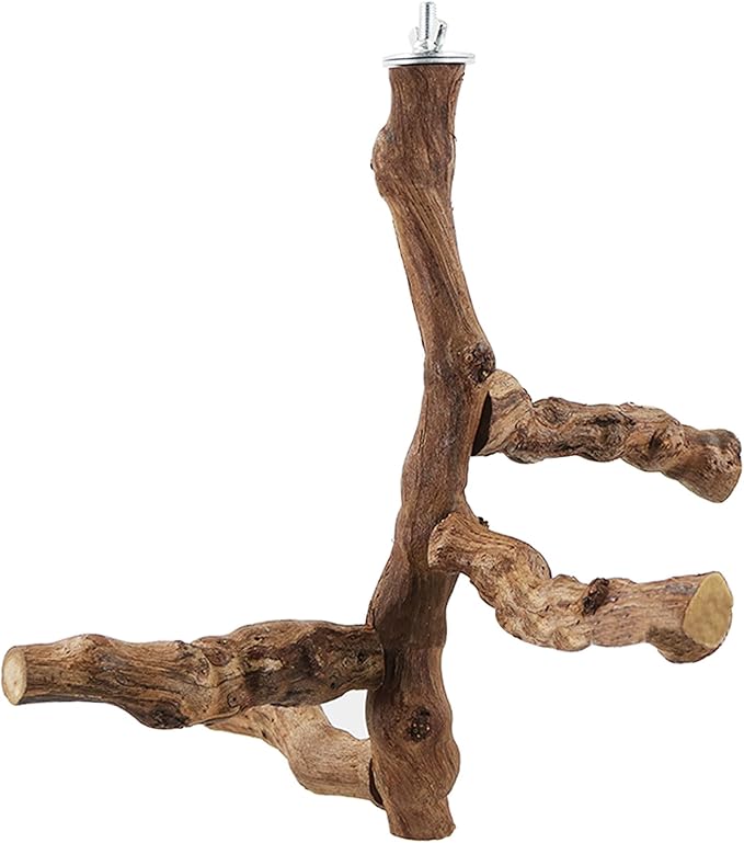 Allazone 6 PCS Bird Perch Natural with Chewing Toys Natural Grapevine Bird Stand Grape Stick Natural Bird Parrot Perch Standfor Parrots, Parakeets Cockatiels, Conures, Macaws, Love Birds (Style 8)