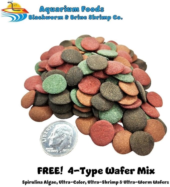 Aquatic Foods Inc. Red River Shrimp - Freeze-Dried 3/8" to 1/2" Red River Shrimp for Cichlids, Koi & Pond Fish, Aquatic Turtles, All Community Tropical Fish, Reptiles, Rodents…5.2oz Lg Round Jar