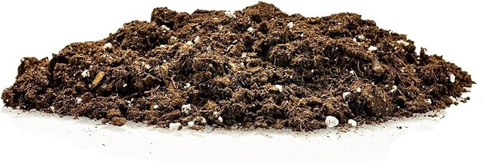 GARDENERA Premium Dracaena Potting Soil Mix - (2 Quart Bag)