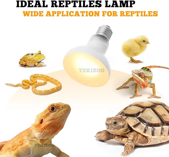 Heat Lamp Bulbs Reptile Basking Light Spot Daylight for Bearded Dragon,Lizard,Tortoise,Amphibian 50W (2 Pack)