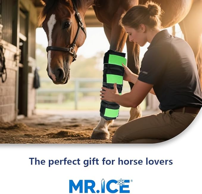 Horse Ice Boots - Reusable Gel Ice Pack for Horses | Cooling Leg Wraps for Hock, Knee, Ankle & Hooves | Horse Supplies & Care Gift Ideas - 1 Pair, Green