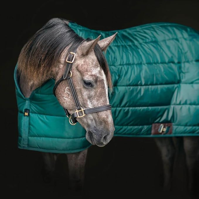 Cutback Fit Zenith Dura-Nylon Horse Stable Blanket | Adjustable Leg Strap | Breathable Horse Blankets & Sheets | Heavyweight Insulation Horse Blankets