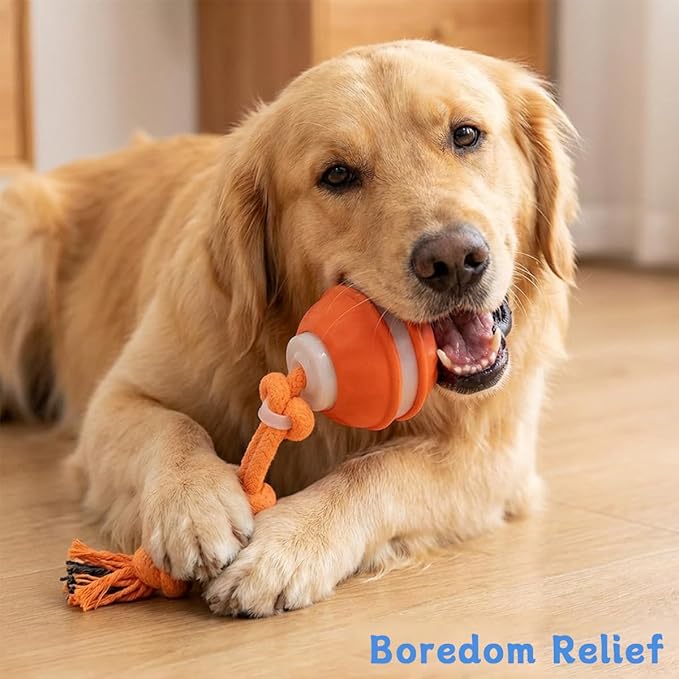 Interactive Dog Toys ，2026 upgraded motion-sensing pet toy ball, interactive dog toy ball with 360° intelligent automatic rolling. Built-in bird chirping attract dogs and keep them playing (orange)
