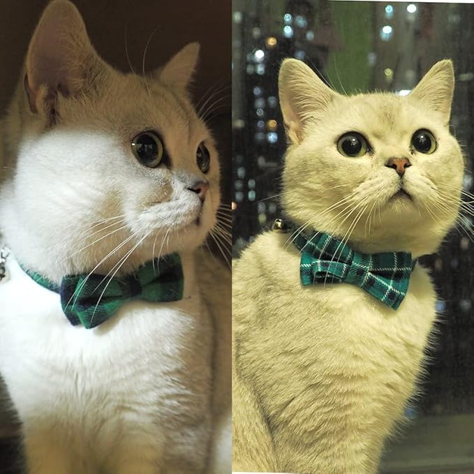 Pipidog Cat Collar Breakaway with Bell and Bow Tie, Plaid Design Adjustable Safety Kitty Kitten Collars(6.8-10.8in) (Green&Cyan Plaid)
