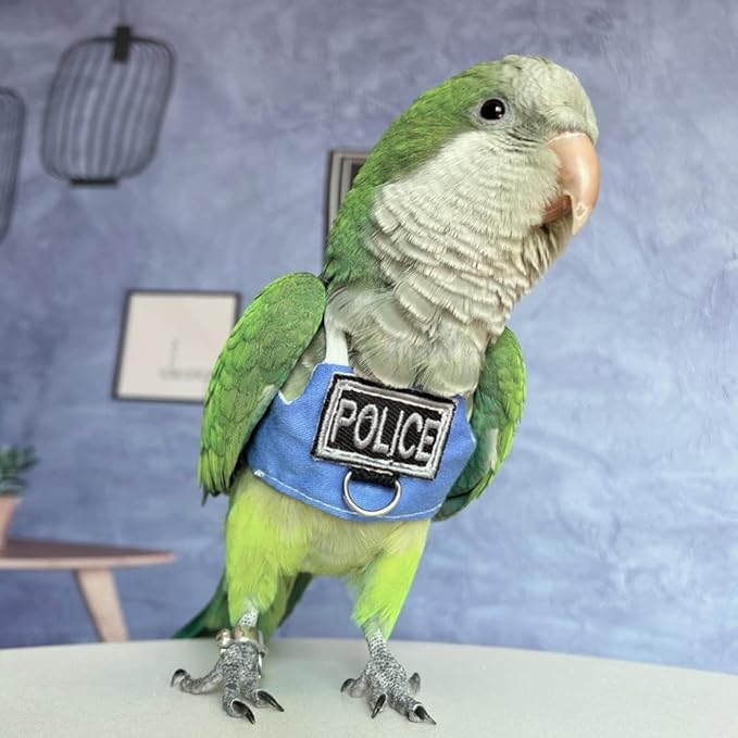 Bird Flight Harness Vest, Parrot Flight Suit with Leash, Bird Flying Clothes with Rope and Handle for Outdoor Activities (with Leash,Caique)