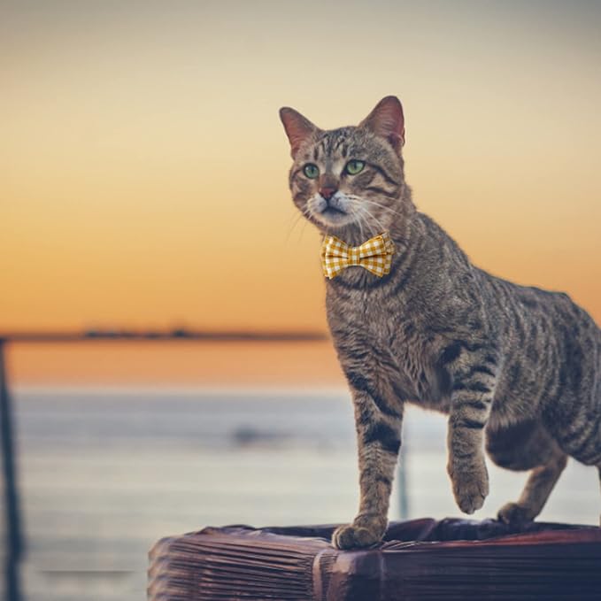 AIITLE Breakaway Cat Collar with Cute Bow Tie and Bell, Detachable Adjustable Safety Collars for Girl Cats and Boy Cats, Kittens, Puppy, Soft Stylish Plaid Patterns Cat Collars,Yellow