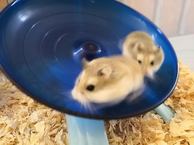 Hermit Crab Climbing Toy, Hermit Crab Exercise Wheel, Super Silent Small Animal Wheel, Hermit Crab Tank Accessories, for Hermit Crab, Hamster, Gerbil