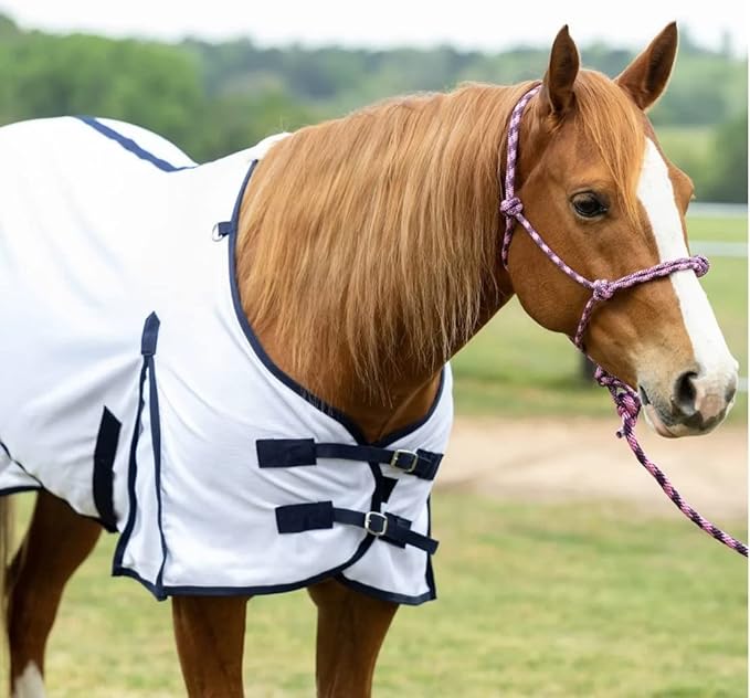 Tack Shack of Ocala- Reinsman Circle Y Breathable Mesh Fly Sheet, Fly Sheet for Horses, Mesh Fly Sheet, Fly Sheet, Breathable Comfy Fly Sheet (81)
