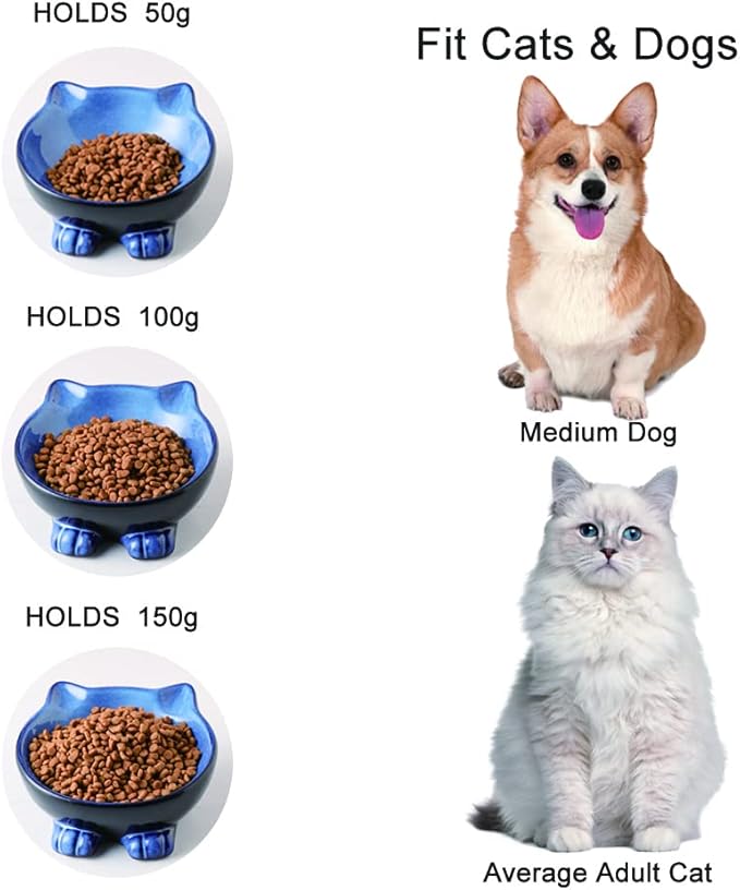 Nihow Ceramic Basic Cat Bowls: 6.25 Inch Cat Bowl for Food & Water - Food Grade Cat Dish for Large-Sized Cat/Medium-Sized Dog - Microwave & Dishwasher Safe -Elegant Blue & Black (8.5 OZ /1 PC)