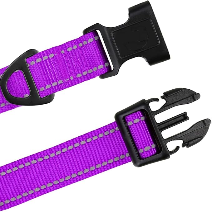 TagME Reflective Nylon Dog Collars, Adjustable Classic Pet Collar with Quick Release Buckle for Extra Small Dogs, Purple, 5/8" Width