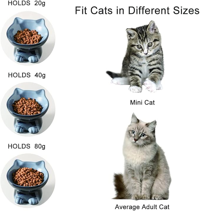 Nihow Ceramic Raised Cat & Dog Bowls: 5 Inch Elegant Gray (2 PC), Protecting Pet's Spine, Feeding & Watering Supplies, Modern Design, Anti Vomiting, Whisker Friendly