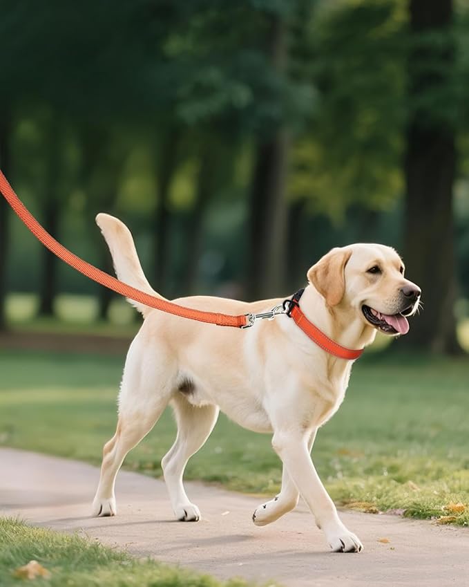 Joytale Large Dog Collar, Reflective and Adjustable Nylon Pet Collar with Quick-Release Buckle for Large Dogs, Orange, L